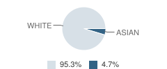 St John the Evangelist School Student Race Distribution