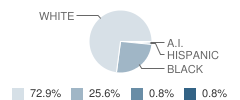 St Mary School Student Race Distribution