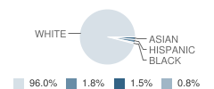 St Mary School Student Race Distribution