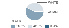 Sunrise Academy Student Race Distribution