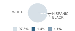 St Paul High School Student Race Distribution