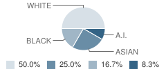 Eastland Christian Academy Student Race Distribution