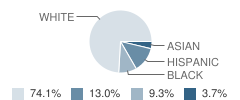 Faith Academy Christian School Student Race Distribution