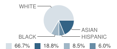 Miss Helen's Private School Student Race Distribution