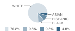 New Covenant Academy Inc Student Race Distribution