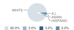 St Mary's Elementary School Student Race Distribution