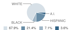 New Life School Student Race Distribution