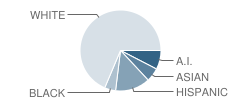 St Joseph School Student Race Distribution