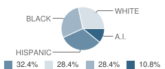 Community Transitional School Student Race Distribution