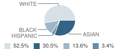 Evergreen Academy Student Race Distribution