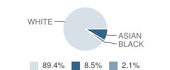 Gately Academy Student Race Distribution