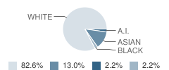 Mckenzie River Christian School Student Race Distribution