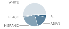 Pilgrim Lutheran School Student Race Distribution