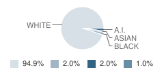 St Francis of Assisi School Student Race Distribution