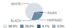 St Luke School Student Race Distribution