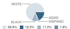 Touchstone School Student Race Distribution
