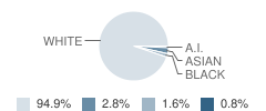 Veritas School Student Race Distribution