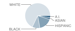 Youth Progress Association School Student Race Distribution