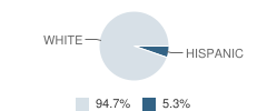 Academy of the Blessed Virgin Mary Student Race Distribution