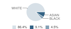 Armstrong Valley Christian School Student Race Distribution