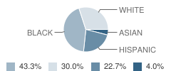 Cathedral Consolidated School Student Race Distribution