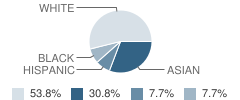 Chesterbrook Academy Student Race Distribution