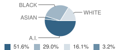 Christian Life School Student Race Distribution