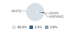 Corpus Christi School Student Race Distribution