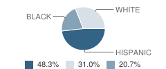 Dalet School Student Race Distribution