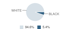 Faith Mountain Christian Academy Student Race Distribution