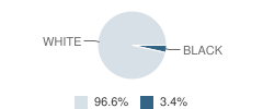 Du Bois Christian Schools Student Race Distribution