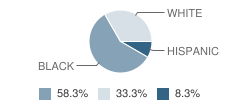 Play & Learn Centers School Student Race Distribution