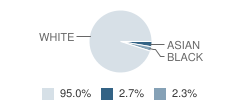 Providence Heights Alpha School Student Race Distribution