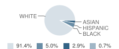 St Ann Elementary School Student Race Distribution