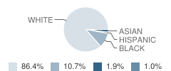 St Margaret Elementary School Student Race Distribution