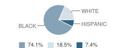 The Bridge School Student Race Distribution