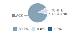 The Islamic Education School Student Race Distribution