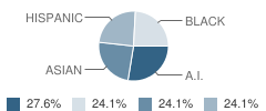 Valley View School Student Race Distribution