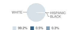 Villa Joseph Marie High School Student Race Distribution