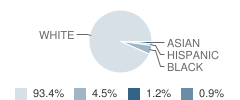 Villa Maria Academy Student Race Distribution