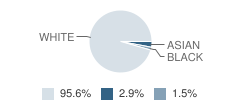 Yeshiva Academy Student Race Distribution