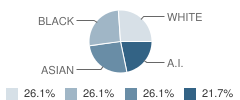 Meadow View School Student Race Distribution