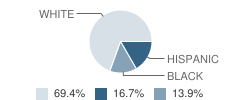 Lehigh Learning Academy Student Race Distribution