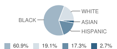 De La Salle Vocational School Student Race Distribution