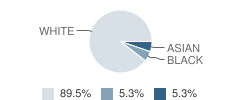 Best Friends School Student Race Distribution