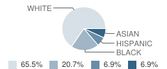 Childrens World Learning Center -Exton 2 School Student Race Distribution