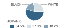 Magic Years Child Care and Learning Center School Student Race Distribution