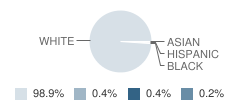 Our Lady of Peace Elementary School Student Race Distribution