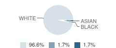 St Philip Neri Elementary School Student Race Distribution