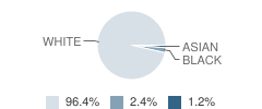 Veritas Academy Student Race Distribution